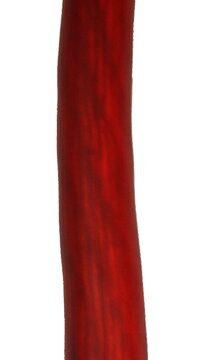 FOUR Connect 4-PC70P Power cable 70 mm2 Red 18m