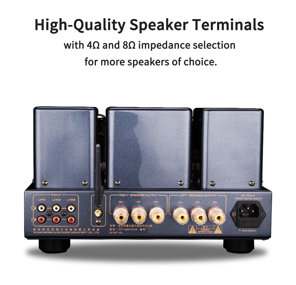 1645083802834759 Cayin MT35MK2 EXPO