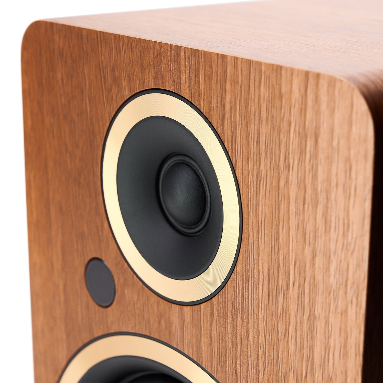 ARGONFENRISA5-WALNUT-4 ARGON AUDIO FENRIS A5 WALNUT EXPO