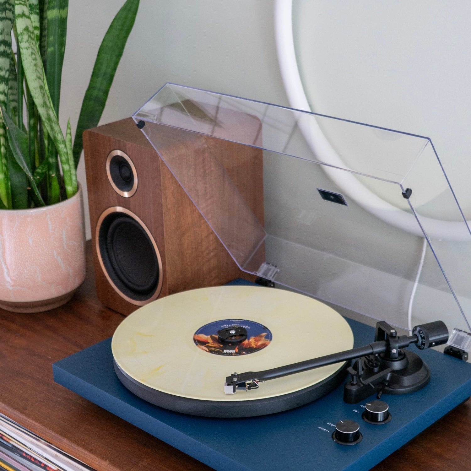 ARGONFENRISA5-WALNUT-6 ARGON AUDIO FENRIS A5 WALNUT EXPO