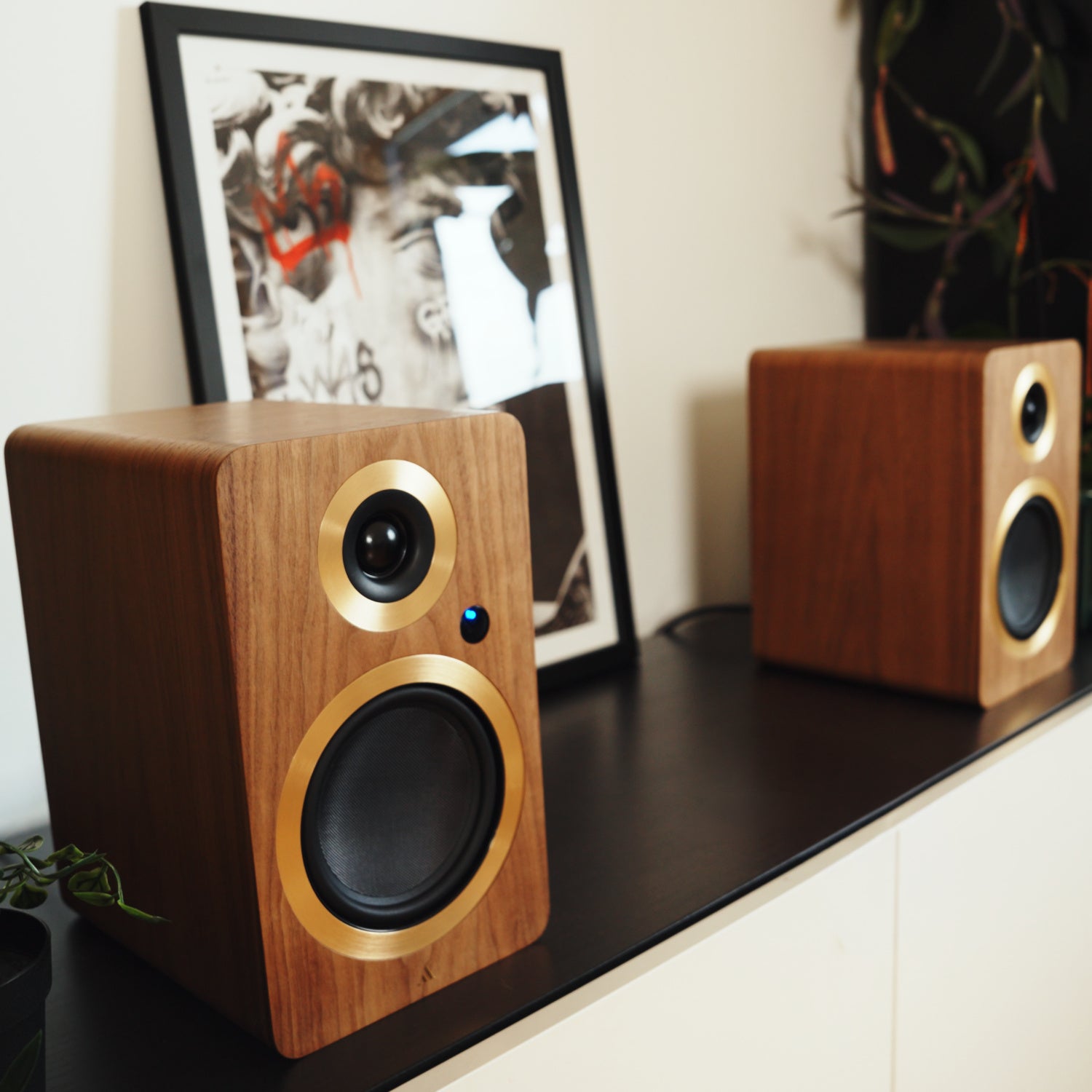 ARGONFORTEA5WIFI-WALNUT-10 ARGON AUDIO FORTE A5 wifi WALNUT