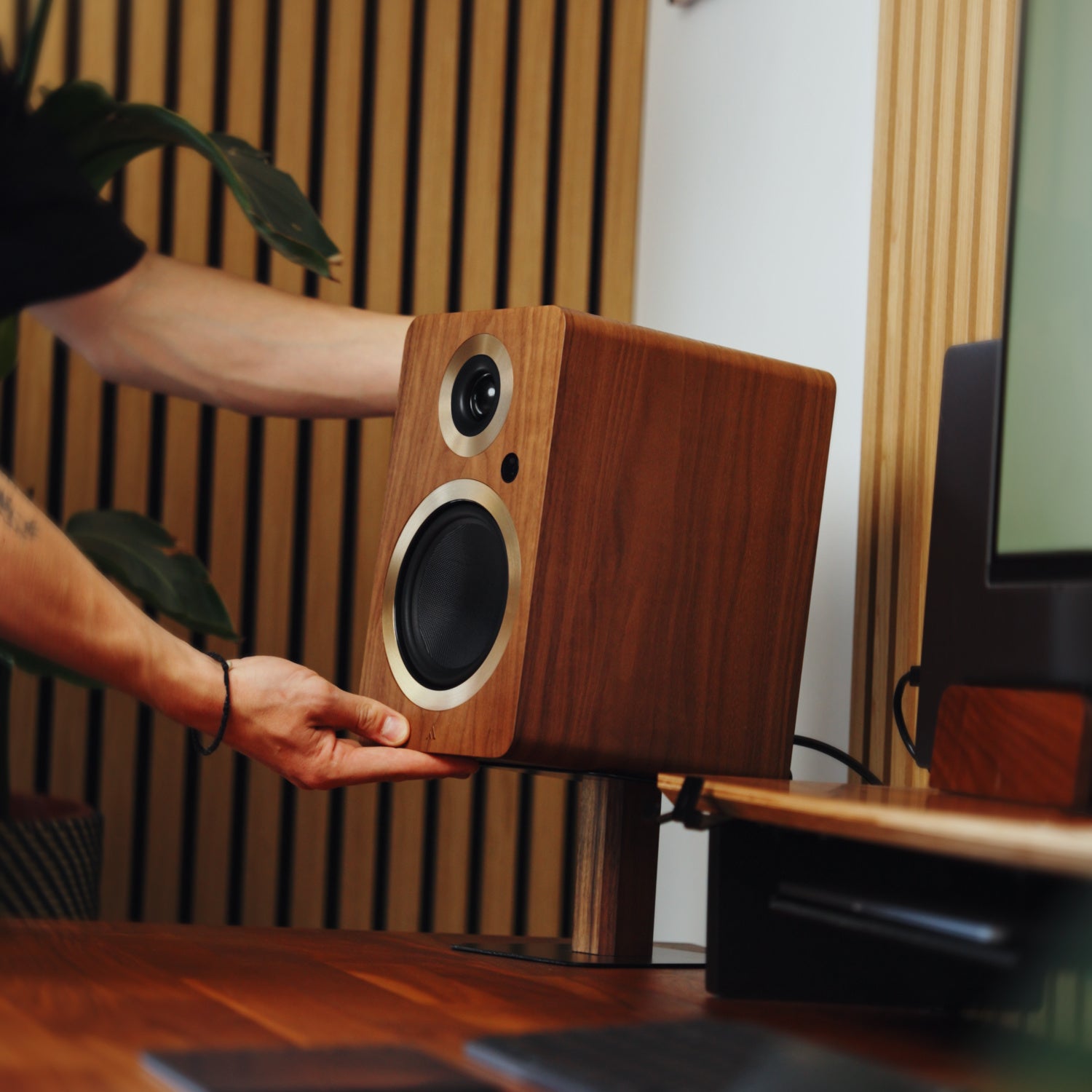 ARGONFORTEA5WIFI-WALNUT-9 ARGON AUDIO FORTE A5 wifi WALNUT