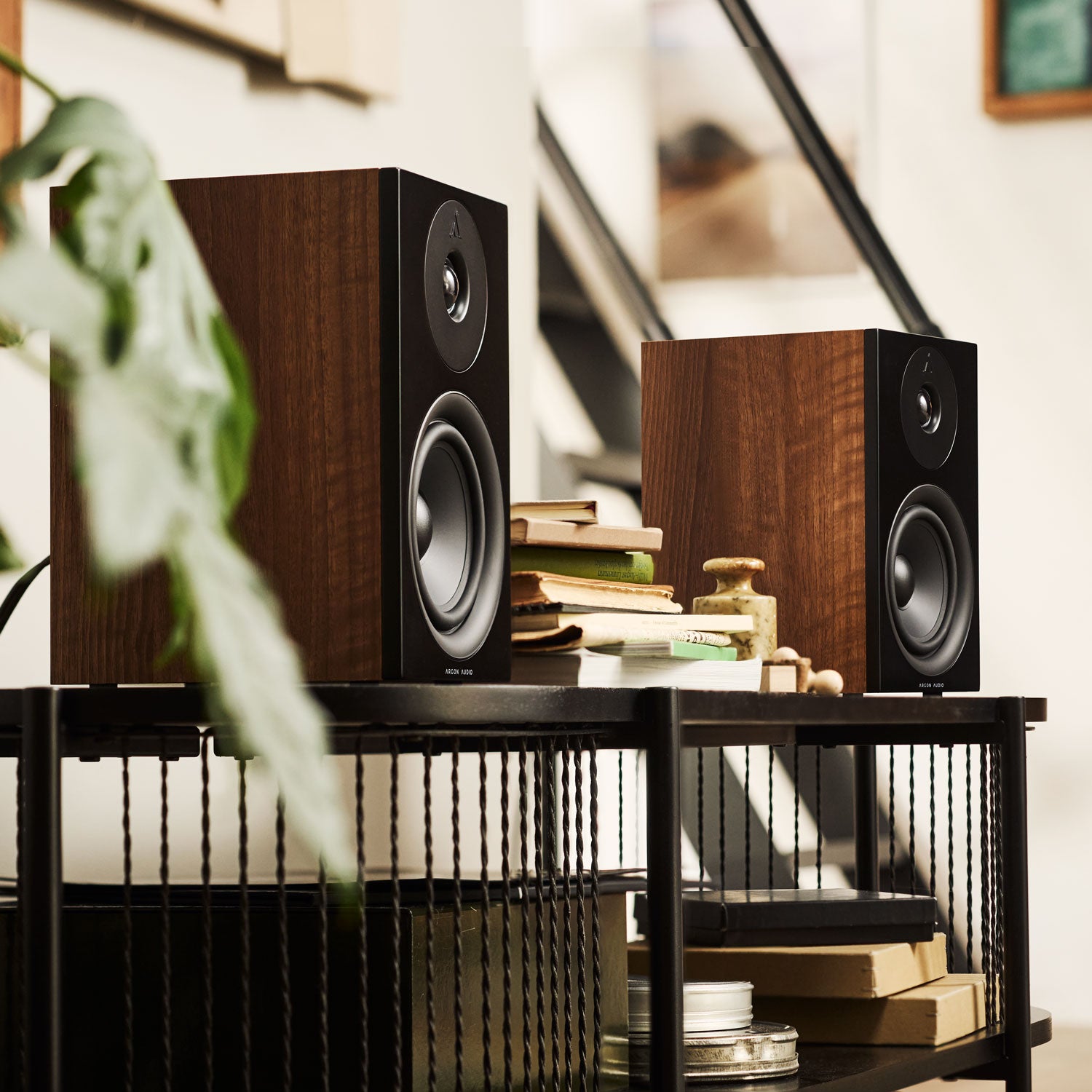 ARGONFORUS5-WALNUT-5 ARGON AUDIO Forus 5 WALNUT