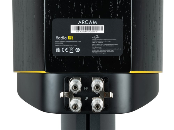 ARCAM-R25-pora-9-76_main ARCAM R25 (pora)