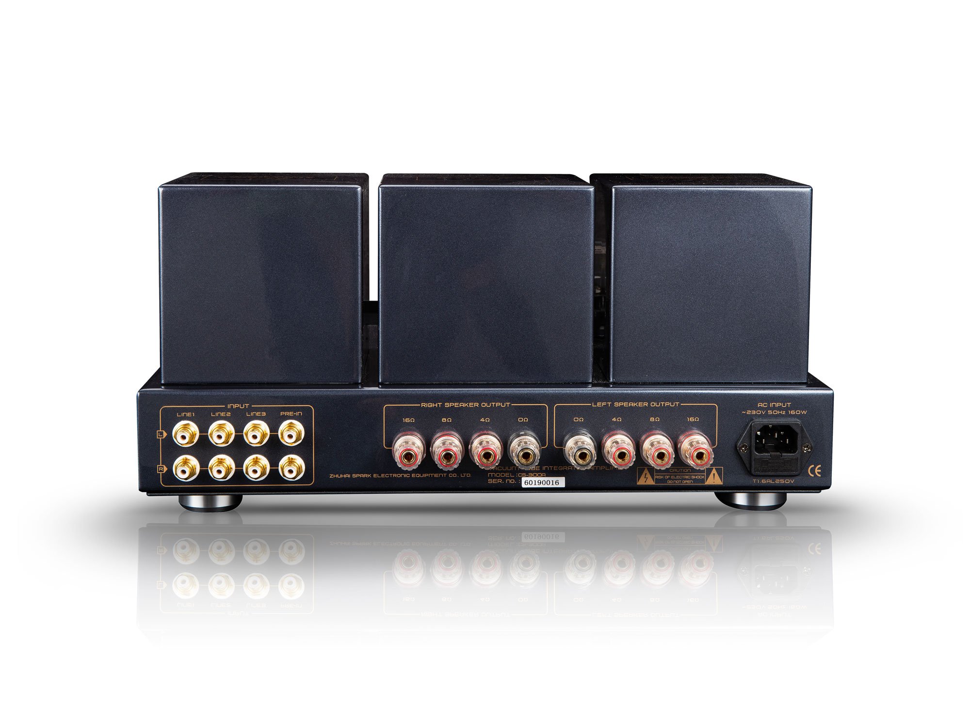 Cayin-CS-300A-juodas-3-Cayin_CS-300A_schwarz_back_2000px Cayin CS-300A juodas