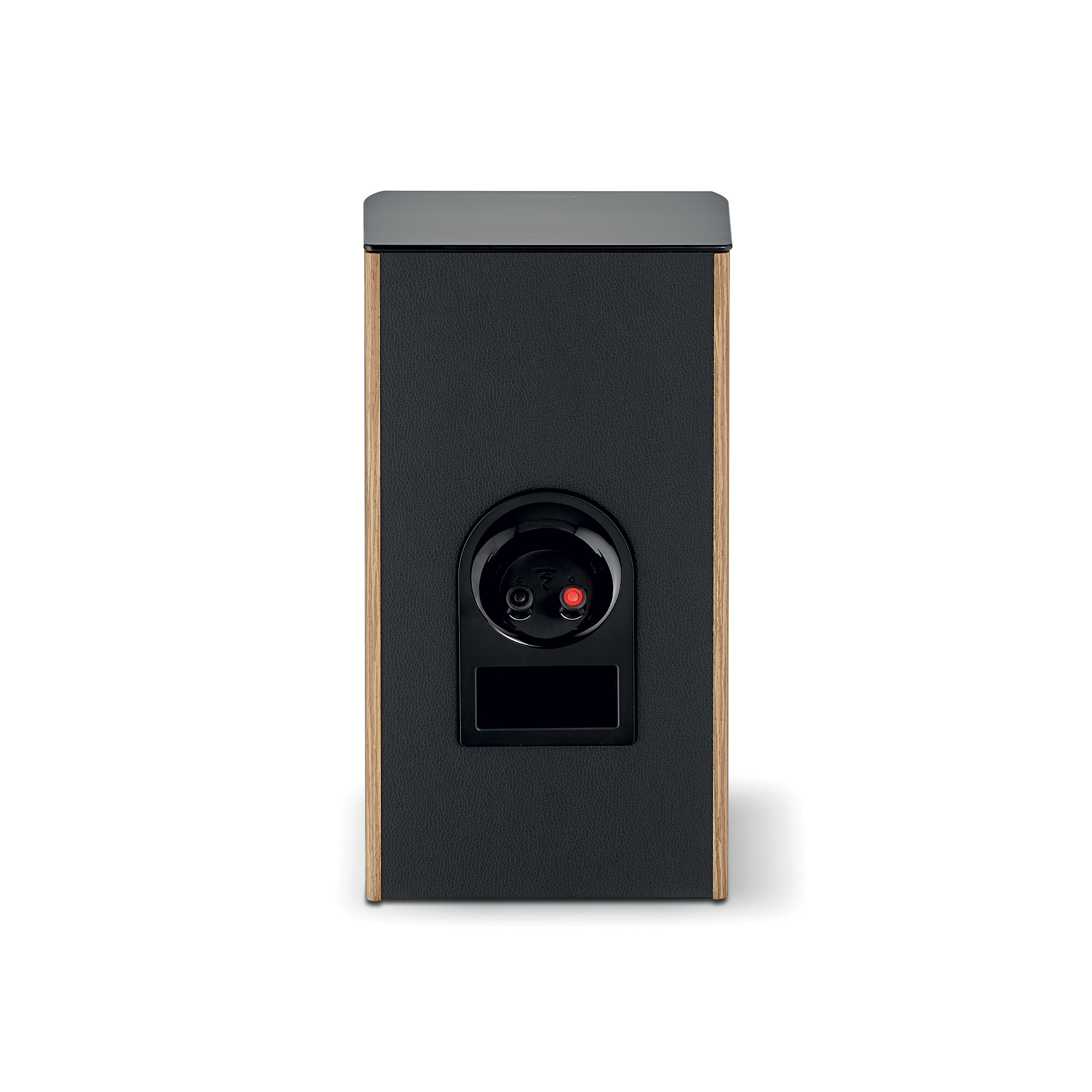FOCAL-ARIA-EVO-X-N°1-Prime-Walnut-3-ARIA_N1_Walnut_Dos-jpg FOCAL ARIA EVO X N°1 Prime Walnut