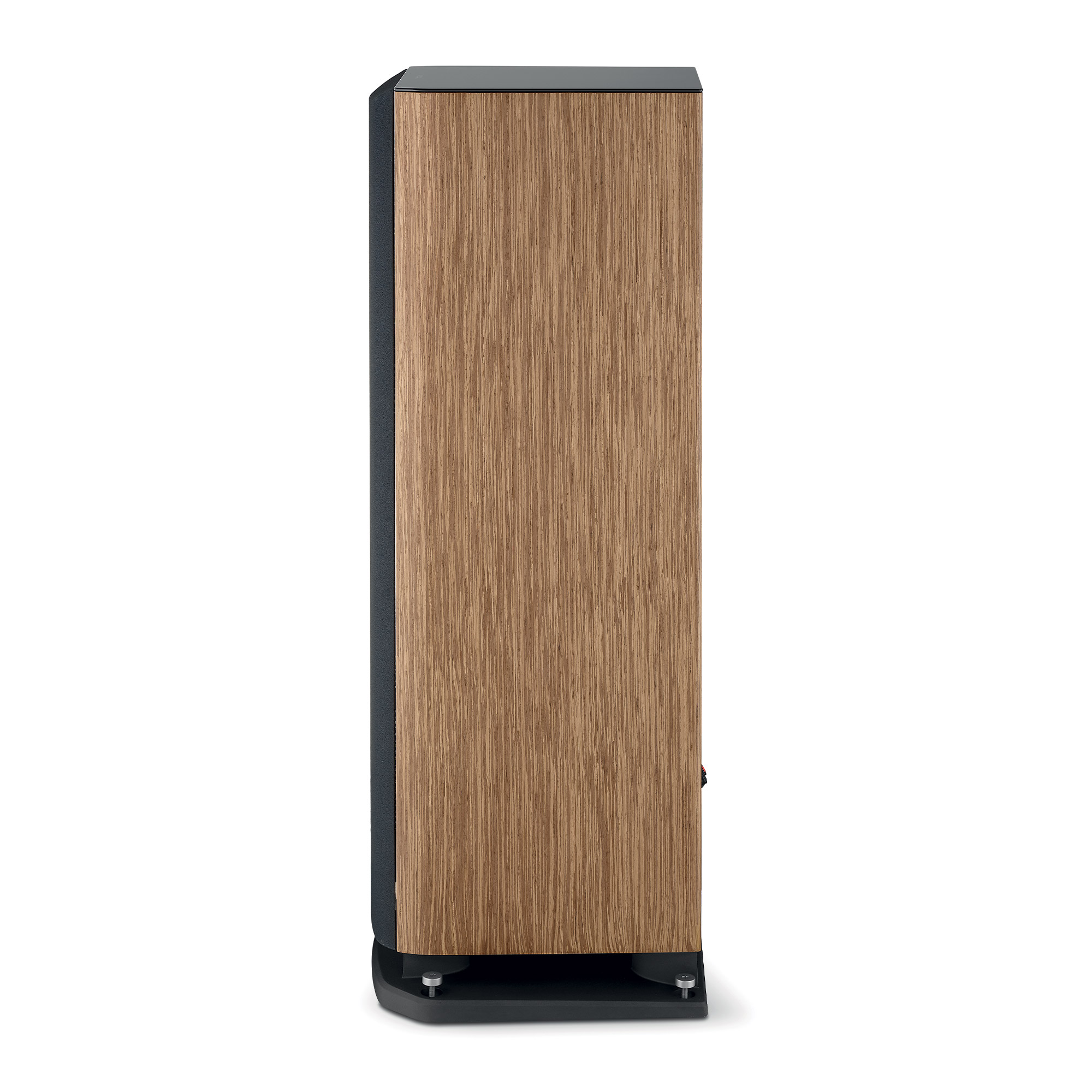 FOCAL-ARIA-EVO-X-N°4-Prime-Walnut-4-ARIA_N4_Walnut_Profile_PT-jpg FOCAL ARIA EVO X N°4 Prime Walnut
