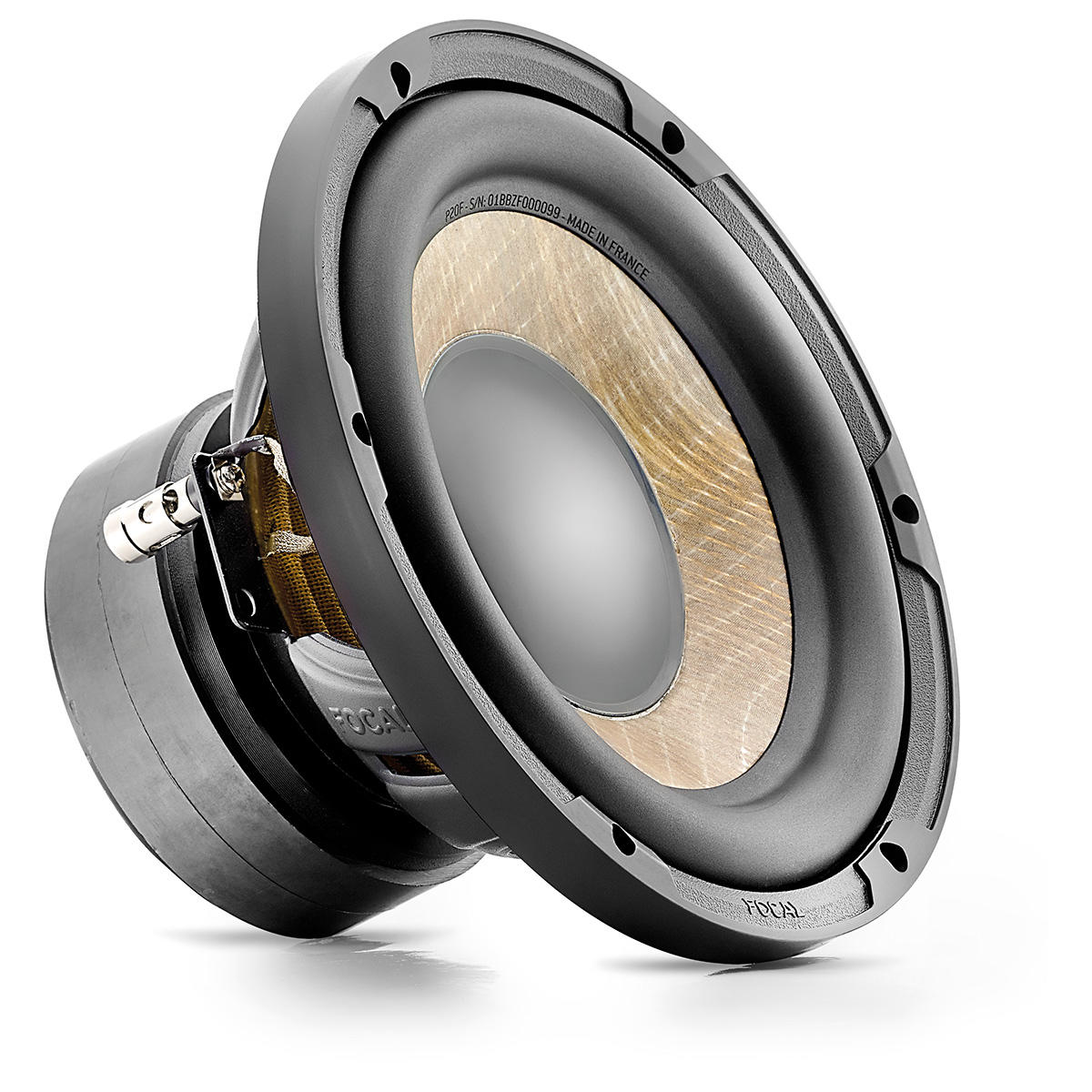 FOCAL P 20 FE