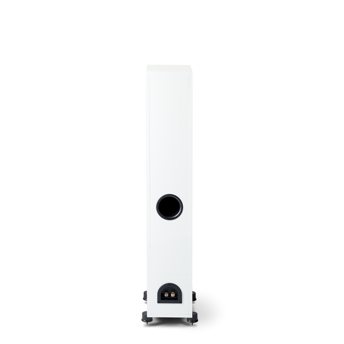 Paradigm-Monitor-SE-3000F-baltas-lakas-pora-3-monitor-se-3000f Paradigm Monitor SE 3000F baltas lakas (pora)