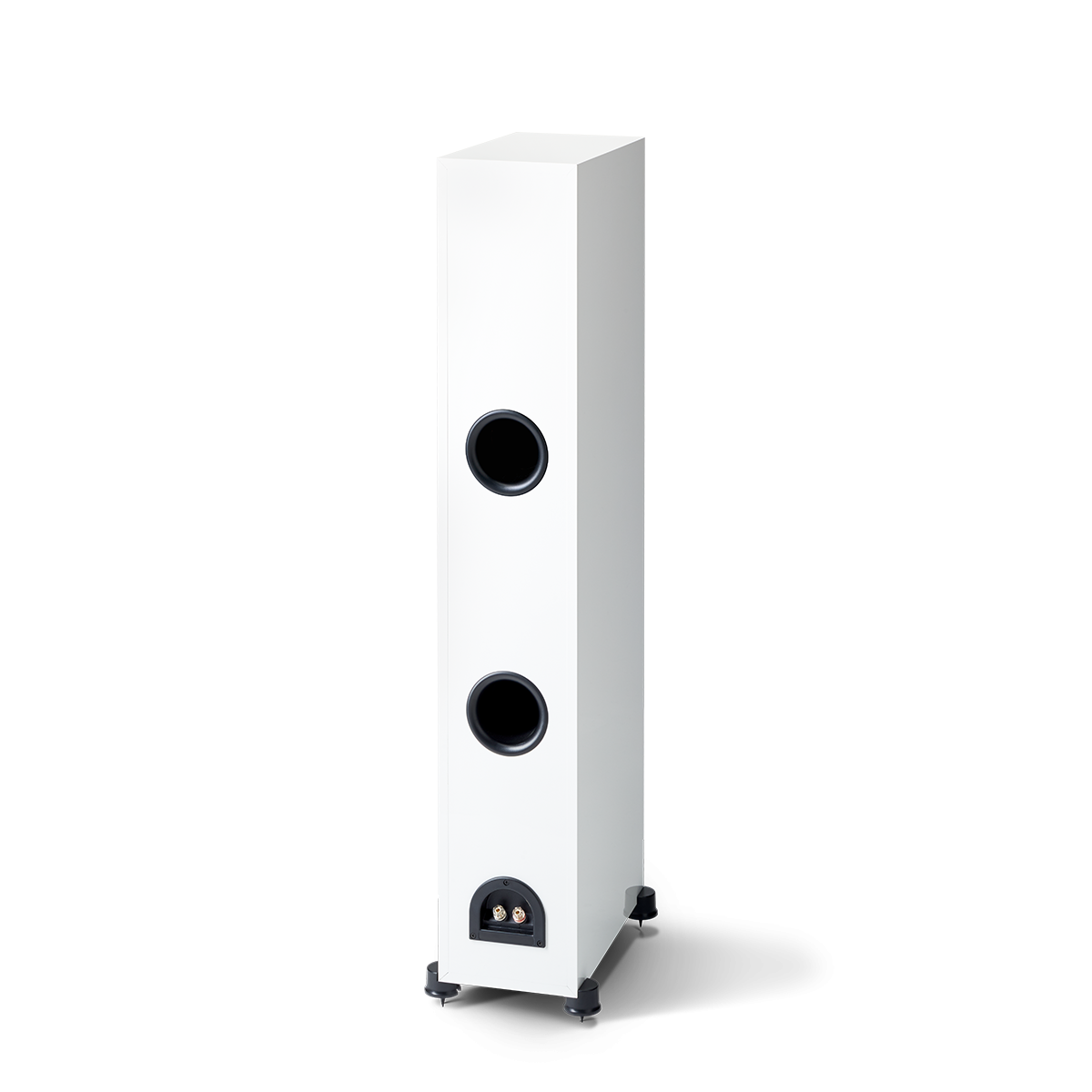 Paradigm-Monitor-SE-6000F-baltas-lakas-pora-4-monitor-se-6000f Paradigm Monitor SE 6000F baltas lakas (pora)